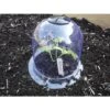 GrowAway™ Reusable Garden Cloches, Small -Gardeners Edge Sales gacs2101 abd gasd1800 2 1