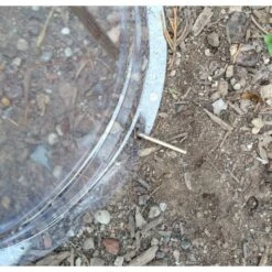 GrowAway™ Reusable Garden Cloches, Small -Gardeners Edge Sales gasc2101 and gasd1800 1