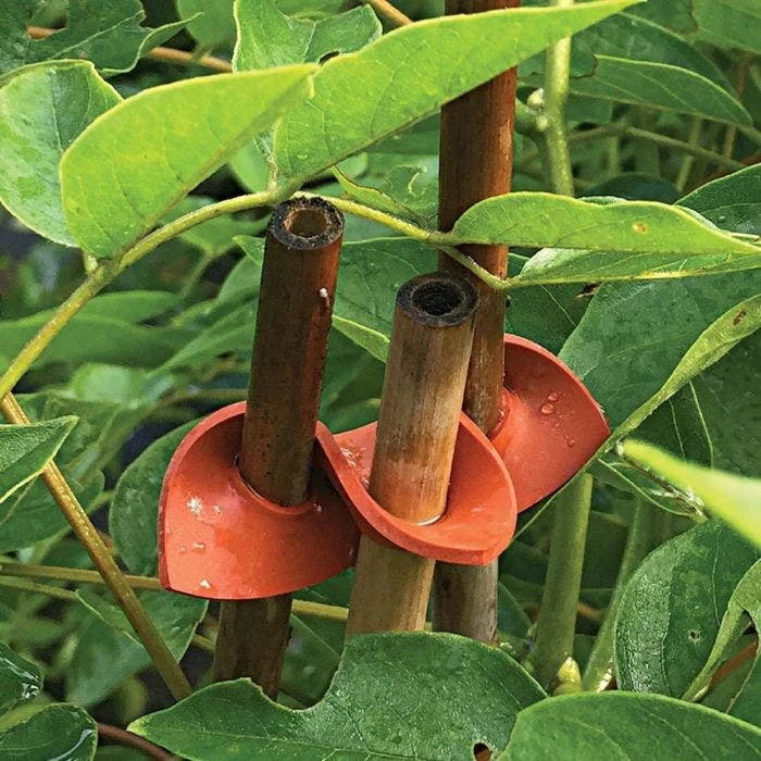 Connectors For Bamboo Stakes Red Pack Of 500 4 Connectors For Bamboo Stakes Red Pack Of 500 - Image 2