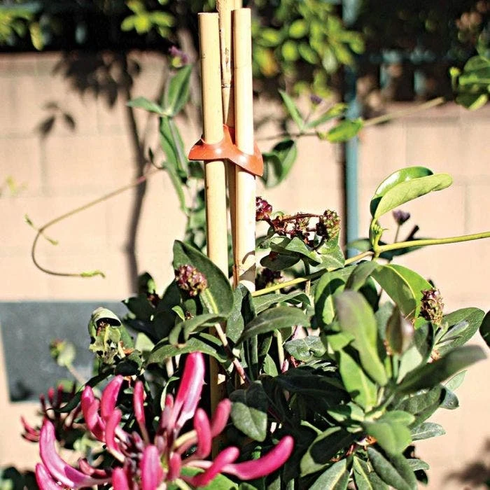 Connectors For Bamboo Stakes Red Pack Of 500 5 Connectors For Bamboo Stakes Red Pack Of 500 - Image 3