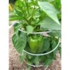 Pep-UP Pepper Support, 6 Pack -Gardeners Edge Sales gipu2100 1