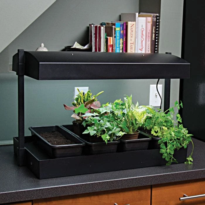 Self Watering Growlight Garden 4 Self Watering Growlight Garden - Image 2