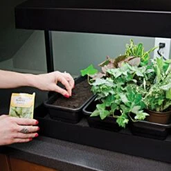 Self Watering Growlight Garden 15 Self Watering Growlight Garden -Gardeners Edge Sales glg 4