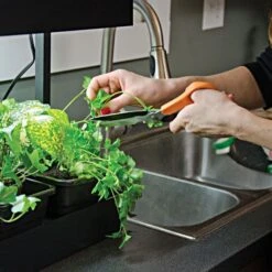 Self Watering Growlight Garden 17 Self Watering Growlight Garden -Gardeners Edge Sales glg 6