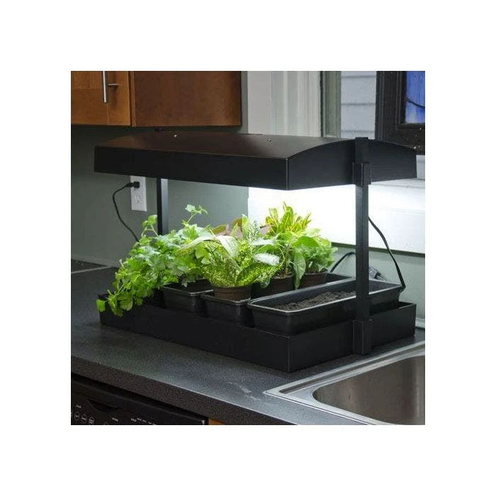 Self Watering Growlight Garden 11 Self Watering Growlight Garden - Image 9