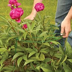 Commercial Steel Grid Plant Brace, 25in X 16in -Gardeners Edge Sales gpb 2