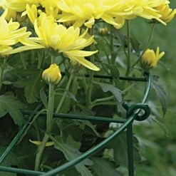 Commercial Steel Grid Plant Brace, 25in X 16in -Gardeners Edge Sales gpb 3