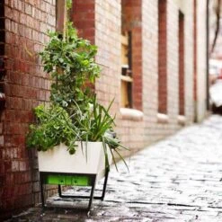 Glowpear Urban Garden Self Watering Planter Box -Gardeners Edge Sales gpugsp 001 10