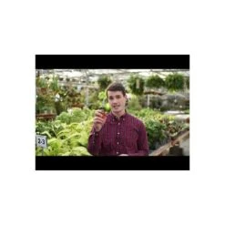 Leonard Stainless Steel Hand Shears, 6.375-inch Length -Gardeners Edge Sales hqdefault 15 8