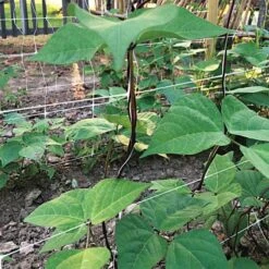 Hortonova Trellis Netting, 4 Feet X 100 Feet -Gardeners Edge Sales htn4100 17