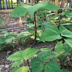 Hortonova Trellis Netting, 4 Feet X 50 Feet -Gardeners Edge Sales htn450 5