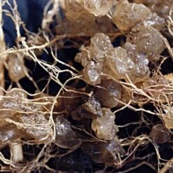 Soil Moist 3 Lb Bulk Jug -Gardeners Edge Sales jcd030sm 2