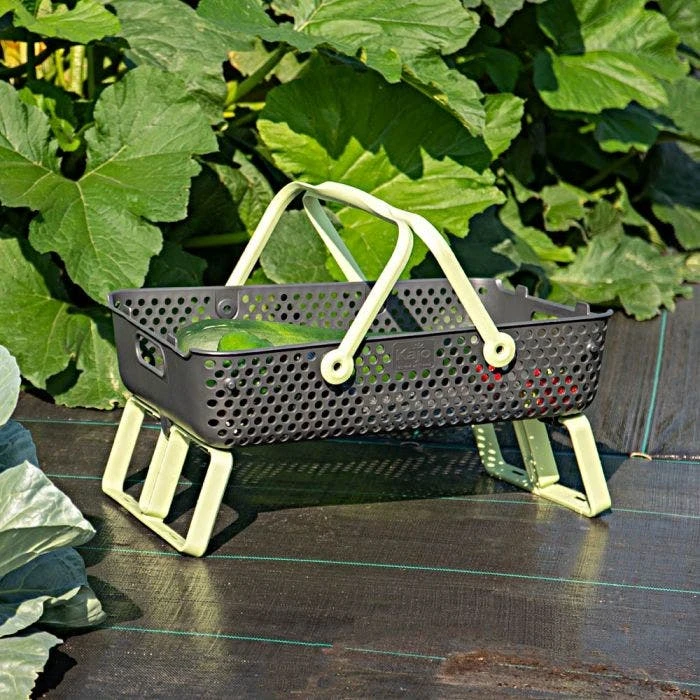 Kajo Mod Hod, Large 5 Kajo Mod Hod, Large - Image 3