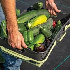 Kajo Mod Hod, Large 9 Kajo Mod Hod, Large -Gardeners Edge Sales kaj 20 live horz holding basket