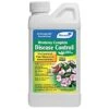 Monterey Complete Disease Control Biofungicide Bactericide Concentrate 16 Ounces 2 Monterey Complete Disease Control Biofungicide Bactericide Concentrate 16 Ounces -Gardeners Edge Sales lg3374