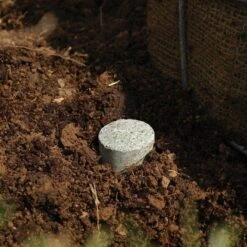 Leonard 10g Fertilizer Tablets For Tree Planting, 2 Year Controlled Release (20-10-5) -Gardeners Edge Sales lpt10 3 1