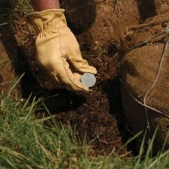 Leonard 5g Fertilizer Tablets For Tree Planting, 2 Year Controlled Release (20-10-5) -Gardeners Edge Sales lpt5 5