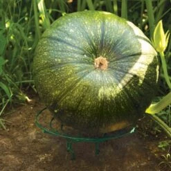 Melon And Squash Cradles Set Of 6 -Gardeners Edge Sales mcg6 5