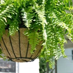 MagniMoist Precut 12-14-Inch Basket Liner -Gardeners Edge Sales mml 14 1