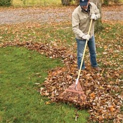 Steel 24 Tine Spring Rake By A.M. Leonard, Lifetime Warranty -Gardeners Edge Sales msr 224u 3