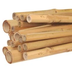 Natural First-Cut Bamboo Stakes, 8ft X 7/8in, 50-Pack