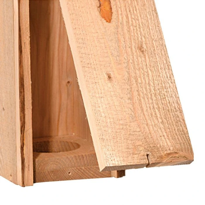 Woodpecker House 8 Woodpecker House - Image 6