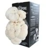 North Spore Lions Mane Indoor Mushroom Kit -Gardeners Edge Sales nslmk