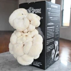 North Spore Lions Mane Indoor Mushroom Kit -Gardeners Edge Sales nslmk 1