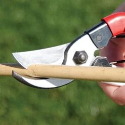 Okatsune Hand Pruners, 0.75-inch Cutting Capacity, 8-inch Length -Gardeners Edge Sales ok101 5 1