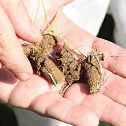 Brinly-Hardy Tow-Behind Plug-Type Aerator, 4ft Span -Gardeners Edge Sales pa48 3