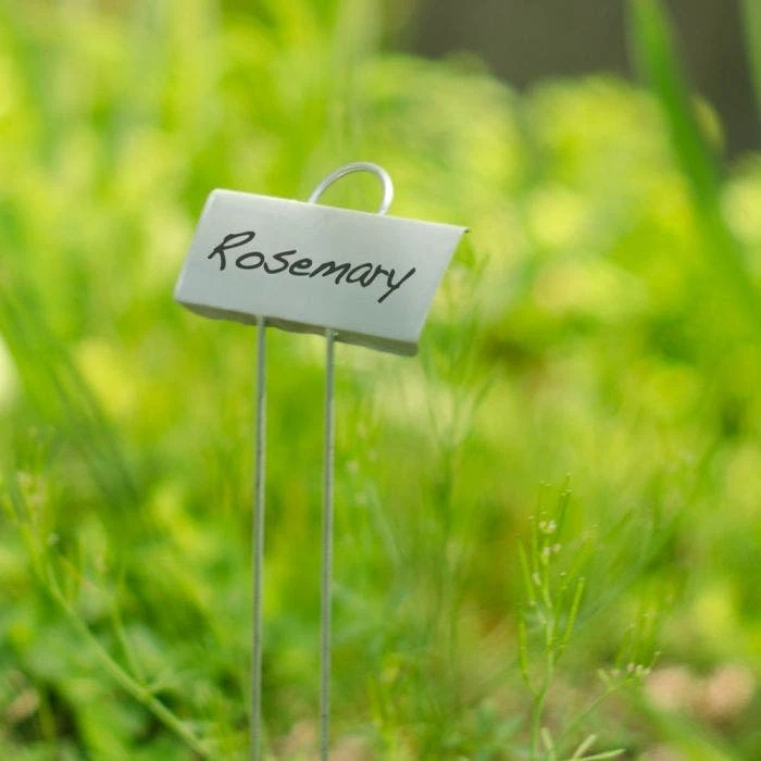 Display Garden Plant Markers, 10in, 25-Pack 6 Display Garden Plant Markers, 10in, 25-Pack - Image 4