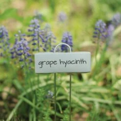 Display Garden Plant Markers, 21in, 25-Pack -Gardeners Edge Sales pmd 10 3 2