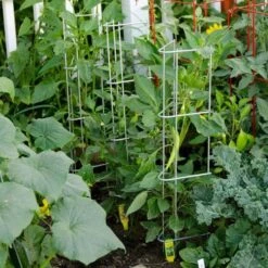Pepper And Eggplant Support, 30-Inch, 3-Pack -Gardeners Edge Sales ps30 6