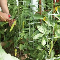 Pepper And Eggplant Support, 30-Inch, 3-Pack -Gardeners Edge Sales ps30 7