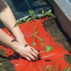Tomato Red Mulch Film Roll, 4ft X 30ft 12 Tomato Red Mulch Film Roll, 4ft X 30ft -Gardeners Edge Sales rm430 4