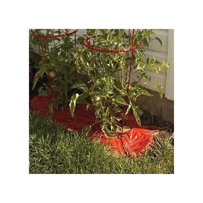 Tomato Red Mulch Film Roll, 4ft X 30ft 8 Tomato Red Mulch Film Roll, 4ft X 30ft - Image 6
