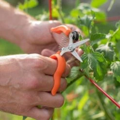 Hands Free Ring Pruner -Gardeners Edge Sales rp2 4