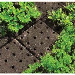 Seeding Square Planting Guide 17 Seeding Square Planting Guide -Gardeners Edge Sales ss1000 7