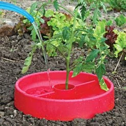 Tomato Crater, 3-pack -Gardeners Edge Sales tc3 3