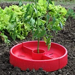Tomato Crater, 3-pack -Gardeners Edge Sales tc3 4