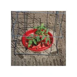 Tomato Crater, 3-pack -Gardeners Edge Sales tc3 8