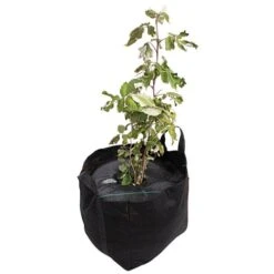 TreeDiaper® Twin Pack, 14-Inch Diameter 7 TreeDiaper® Twin Pack, 14-Inch Diameter -Gardeners Edge Sales td14