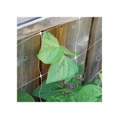 Trellis Netting, 5ft X 328ft -Gardeners Edge Sales tn5328 10