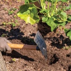 Hoedag Original Planter Mattock With 54" Handle -Gardeners Edge Sales tn54 live2