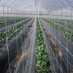 Trellis Netting 6.5ft X 100ft -Gardeners Edge Sales tn6100 4