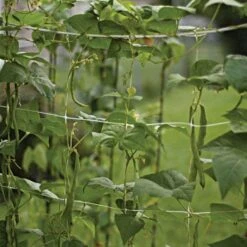 Trellis Netting, 6.5ft X 30ft 33 Trellis Netting, 6.5ft X 30ft -Gardeners Edge Sales tn630 11