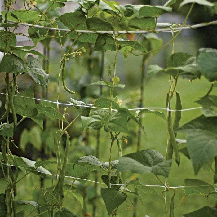 Trellis Netting, 6.5ft X 30ft 14 Trellis Netting, 6.5ft X 30ft - Image 12