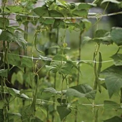 Trellis Netting, 6.5ft X 30ft 28 Trellis Netting, 6.5ft X 30ft -Gardeners Edge Sales tn630 6