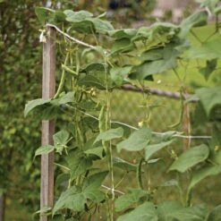 Trellis Netting, 6.5ft X 30ft 29 Trellis Netting, 6.5ft X 30ft -Gardeners Edge Sales tn630 7