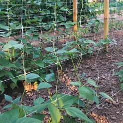 Trellis Netting 6.5ft X 50ft -Gardeners Edge Sales tn650 2